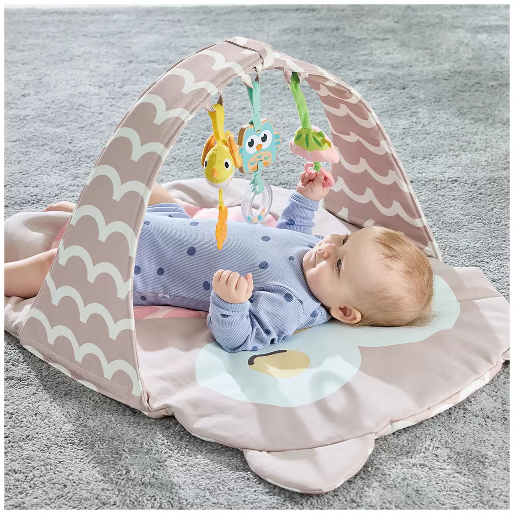 Hape Owl Bed Oscar Take Along Soft Pad Baby Mat Gym- Foldable/ Play Mat With Hanging Rattles/ Mirror HE8535