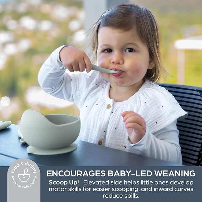 DreamBaby Silicone Kids Baby Suction Feeding Scooper Bowl- Strong Suction/ Easy Cleanup Seafoam L5056A