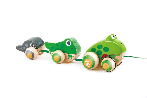 Hape Pull- Along Toy Frog Family Kids Pretend Play- Development Skills/ Entertainment Fun HE0365