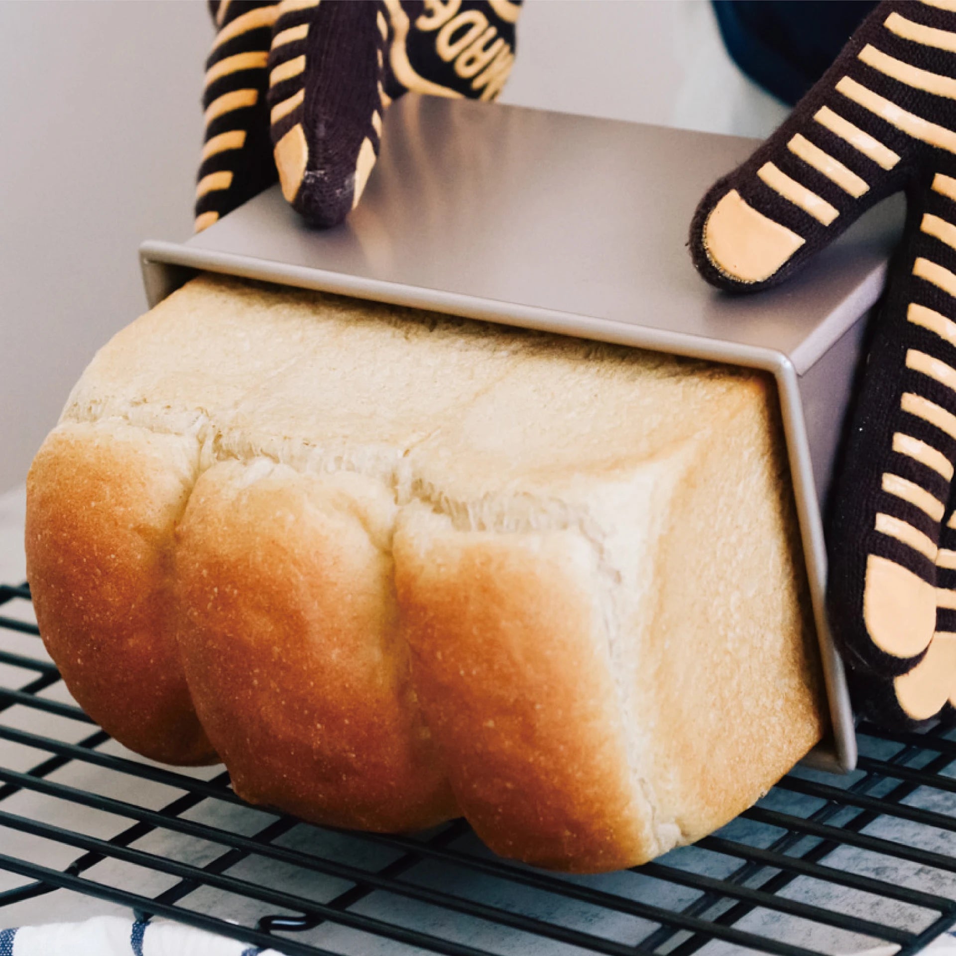 Chefmade 21cm Bread Loaf Pan with Cover 450g- Non- Stick/ Perfect For Baking Cakes/ Bread